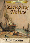 Escaping Notice